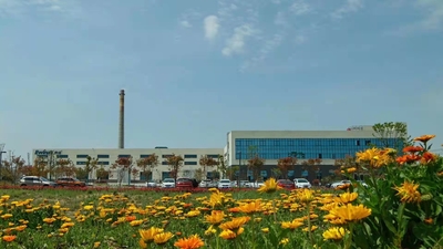 Porcellana Anhui Yongcheng Electronic and Mechanical Technology Co., Ltd. Profilo Aziendale