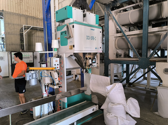 Macchina imballatrice 5kg 10kg 15kg 25kg del riso manuale automatico di Ewinall DCS-50FB-C