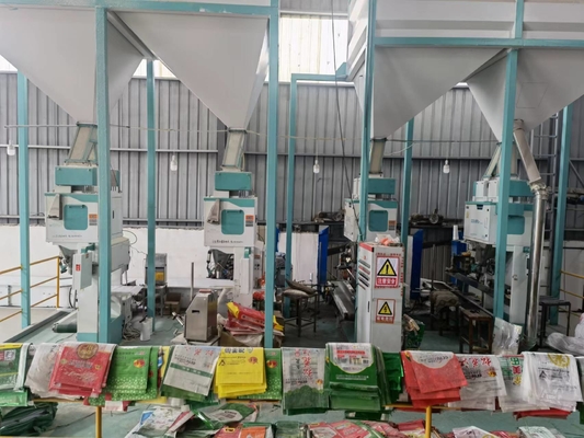 DCS-50FB1 Bilancia quantitativa elettronica per imballaggio Macchina per l'imballaggio del riso, macchina per l'imballaggio dei fagioli