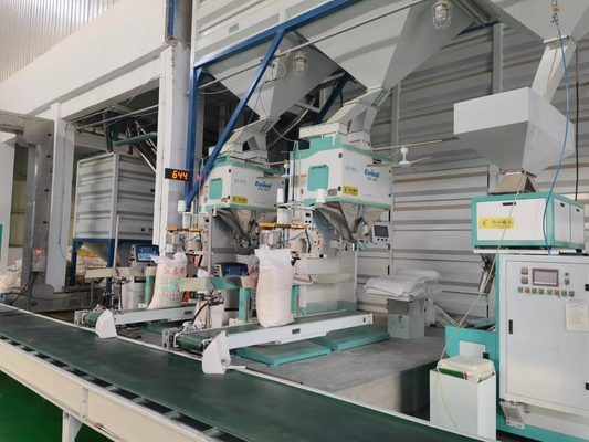 La plastica del riso appallottola il servo controllo motorio 2.5KG - 50KG della macchina imballatrice