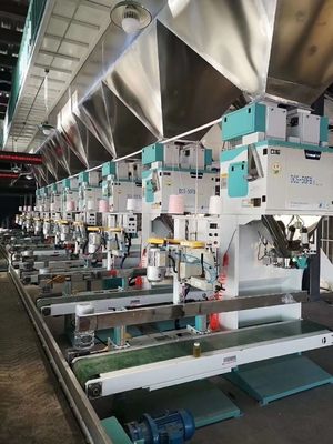 Sollevamento automatico ad alta velocità dell'impacchettatrice 5-50KG del granello di alta precisione
