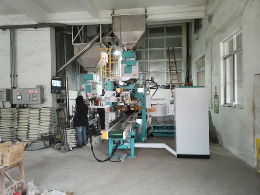 Impacchettatrice completamente automatica 5-25KG del doppio magazzino della borsa per i fagioli del riso