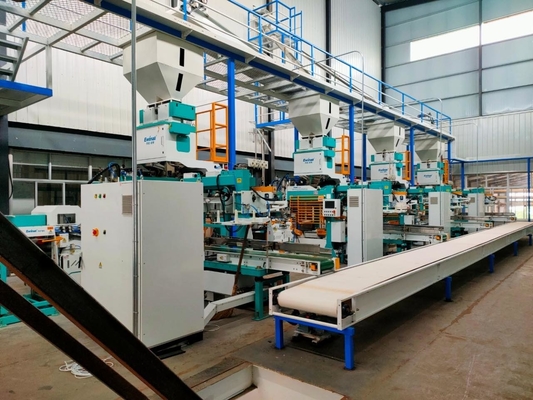 Impacchettatrice completamente automatica 5-25KG del doppio magazzino della borsa per i fagioli del riso