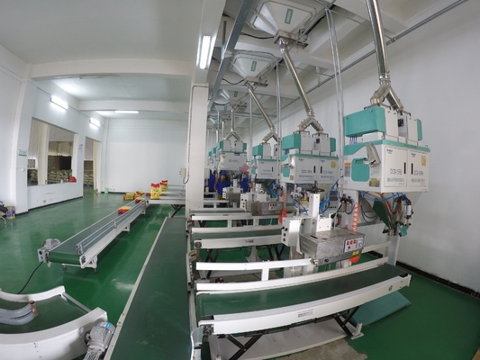 AC220V 0.7KW piccoli pp insaccano la macchina di rifornimento del pacchetto del seme della macchina imballatrice 250g
