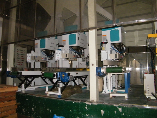 controllo dello SpA dell'impacchettatrice dei fagioli del sacchetto del riempitore del peso di 0.5Mpa 15kg